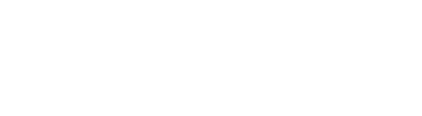 Bharat Pay